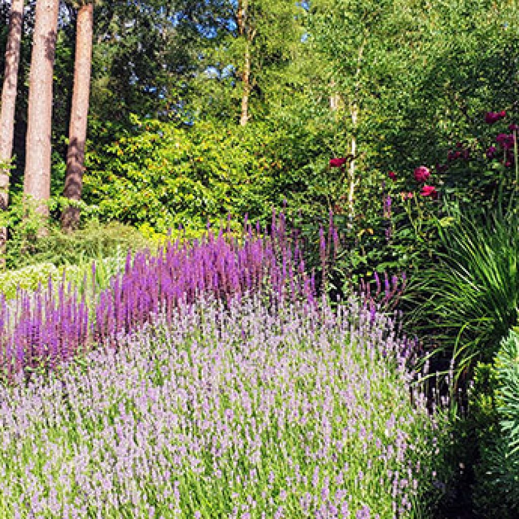 A Reflection pool mirroring colourful planting surrounding it