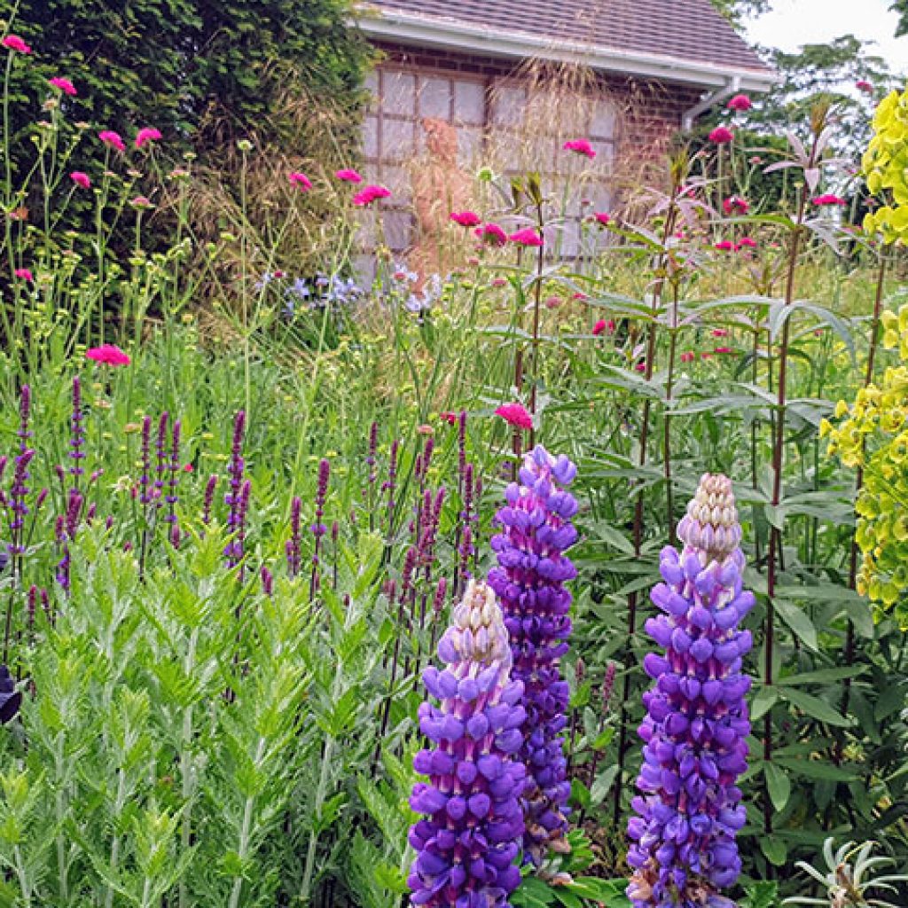 Stunning herbaceous borders draw the eye around this garden.